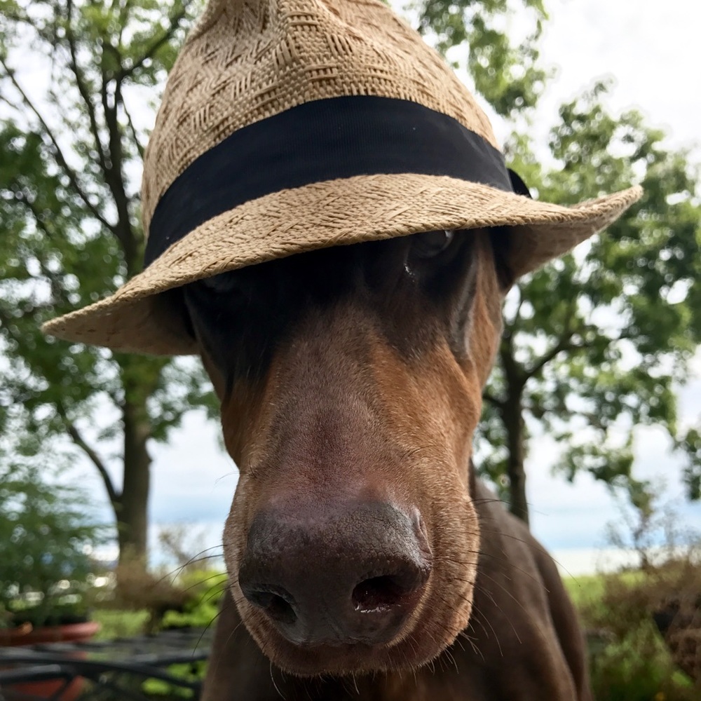 Meet your Posher, Lisa